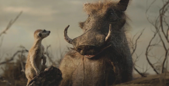 Photo Timon et Pumba