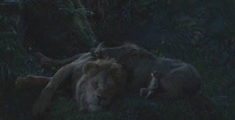 Photo Timon, Pumba et Simba